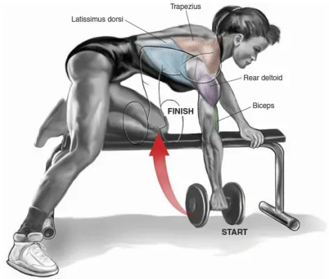  آموزش حرکت زیربغل دمبل تک