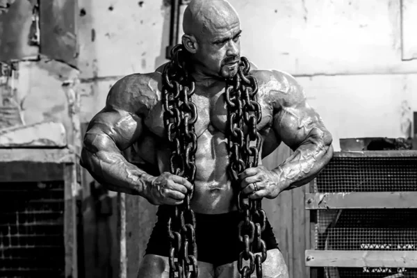 عکسهای Branch Warren