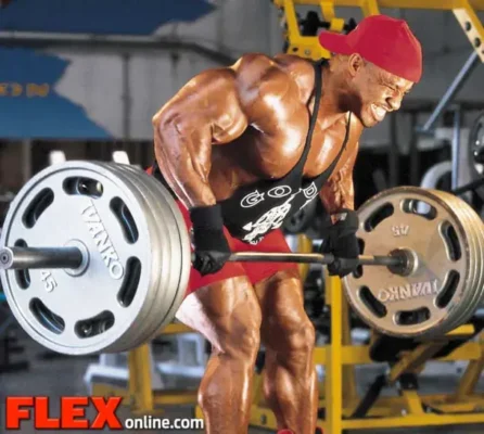 عکس های ویکتور مارتینز