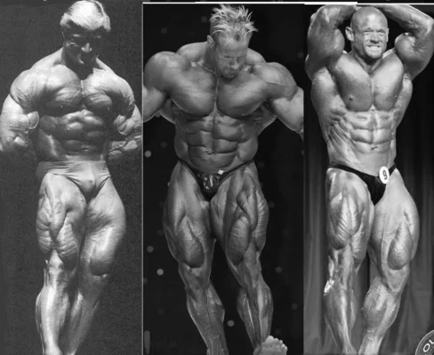 آیا شما نیز خواهان بدنی کامل هستید ولی نمیدانید که از کجا شروع کنید؟