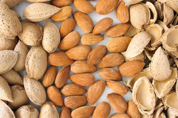 پروتئین بادام‌درختی