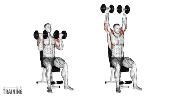 حرکت پرس سرشانه آرنولدی نشسته 