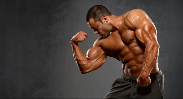 برنامه تمرینی حجم ساز همراه با رژیم غذایی و مصرف مکمل ها