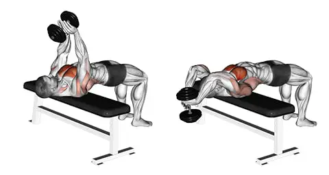 حرکت پلاور با دمبل 