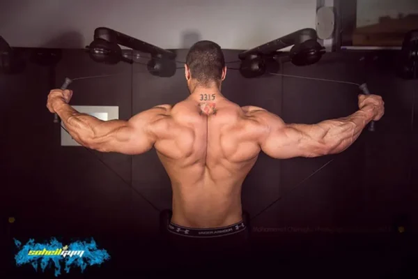 برنامه تمرینی قدرت و حجم (Long Cycle) برای افراد مبتدی (بخش دوم)