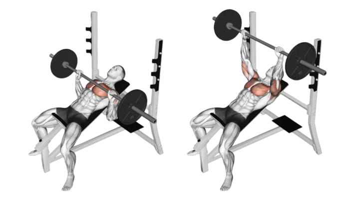 پرس بالا سینه