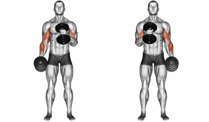 جلو بازو چکشی