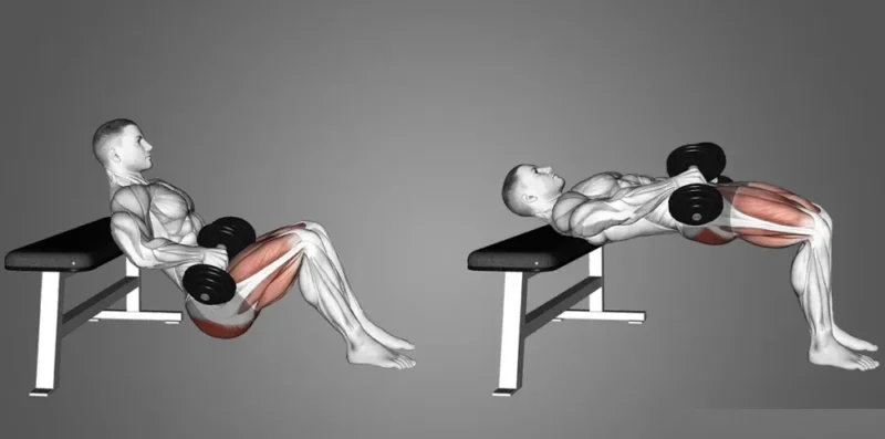 هیپ تراست دمبل