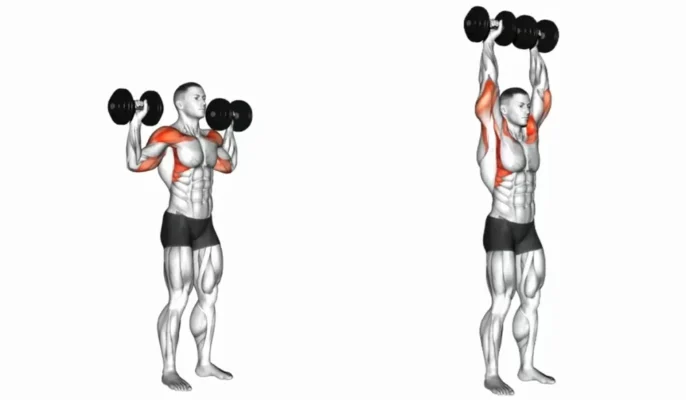 پرس سرشانه دمبل