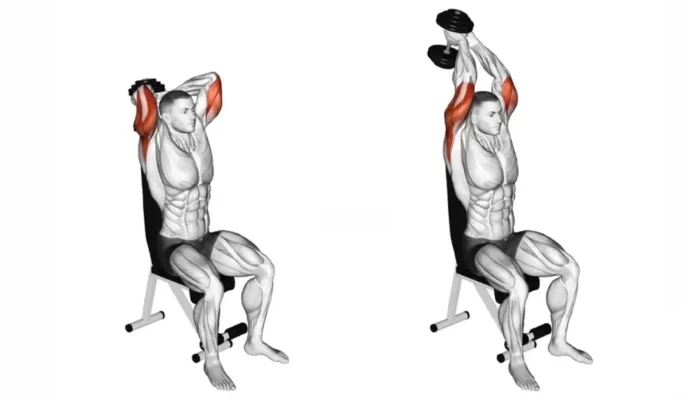 پشت بازو دمبل