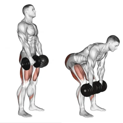 ددلیفت رومانیایی