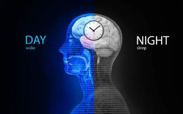 ساعت بیولوژیک بدن چیست؟