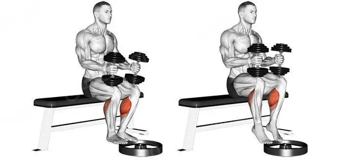 حرکت ساق پا نشسته وزنه روی پا