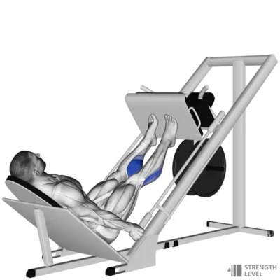 حرکت ساق با دستگاه پرس پا