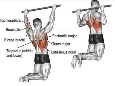 آموزش حرکت بارفیکس از پشت