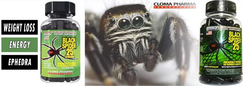 کپسول چربی‌سوز بلک اسپایدر 25 کلوما فارما