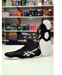 کتونی کشتی اسیکس دنگیبل