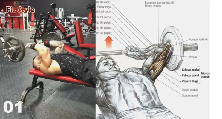 14حرکت عالی برای بازو ها