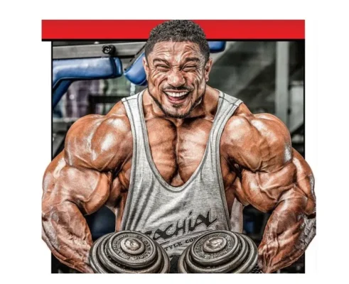 انگیزشی تمرینات رولی وینکلار سال 2019